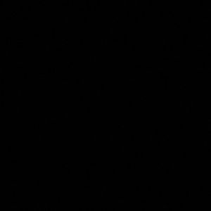 Meet your Posher, Anis